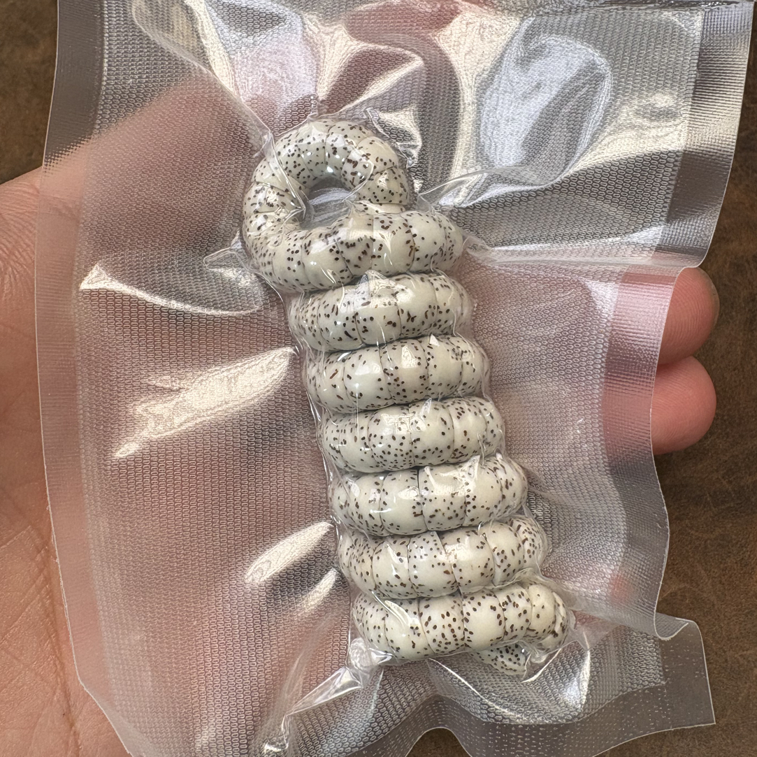 海南星月菩提大肠原白长串脖挂