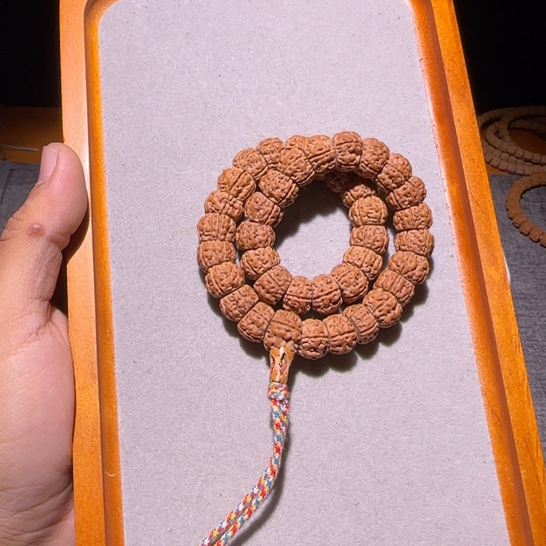 金刚菩提手串老树王大肠