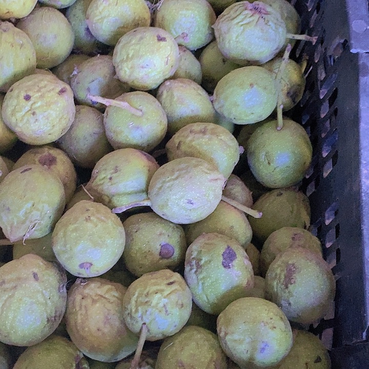 【闪购商品】核桃摆件10个虎头青皮不退不换谨慎下单