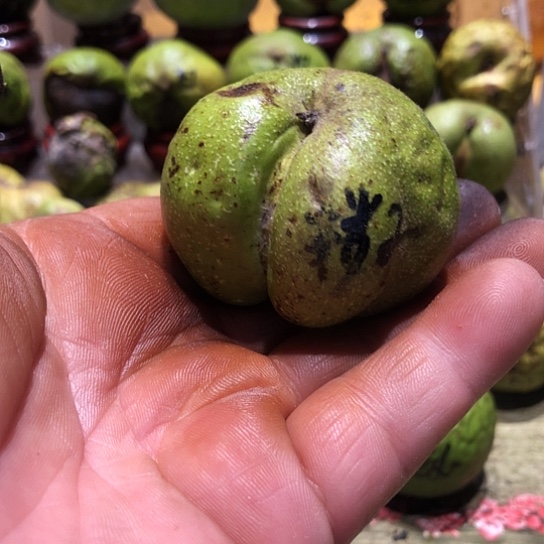 吊坠桃核核桃核桃
