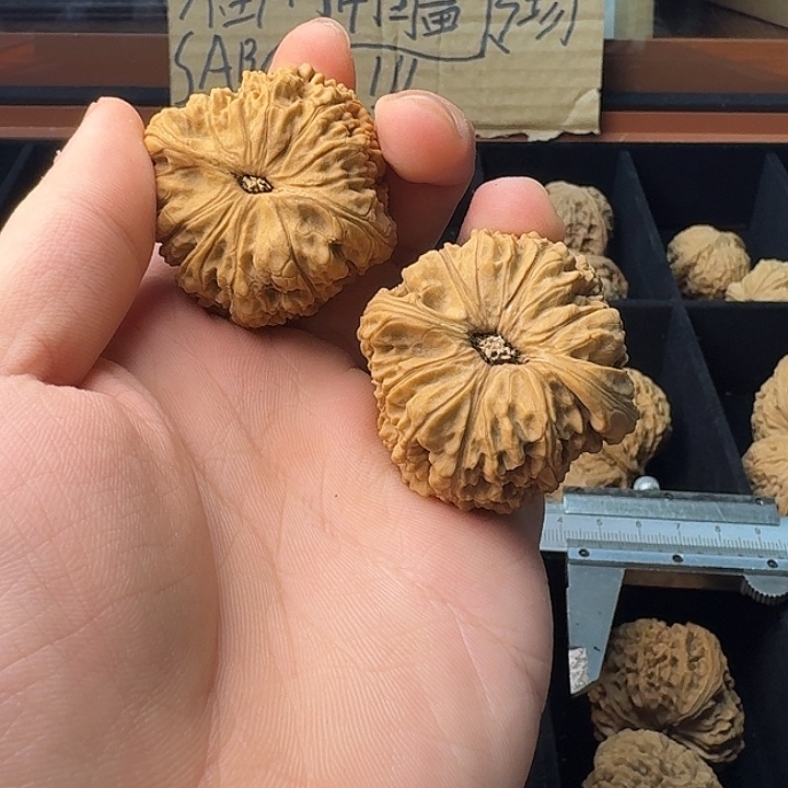 木***夆大叶紫檀（黑酸枝木类）