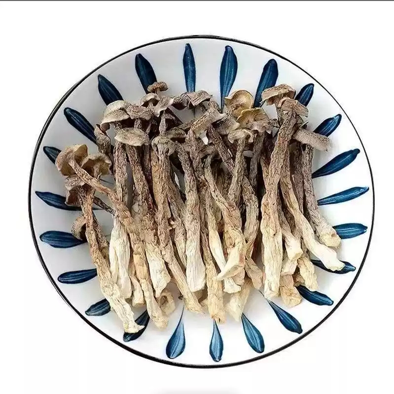 鹿茸菇干货新货整根