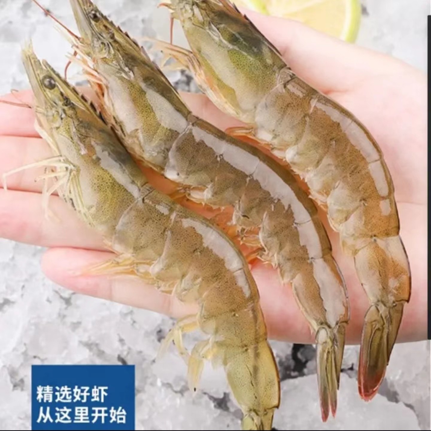 超大号海洋冷冻对虾3040盐冻虾活虾保鲜速冻原盒原装净重3.3斤/盒