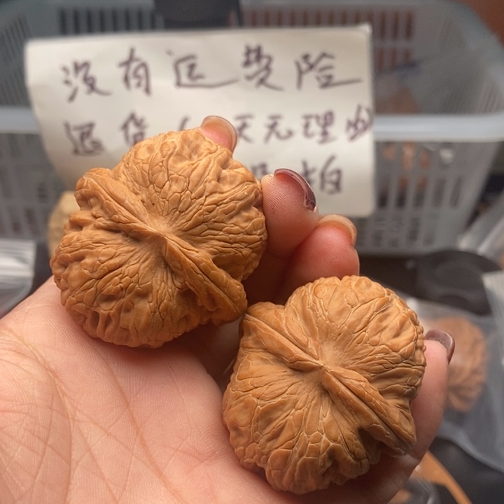 手串/手链核桃焦****诗