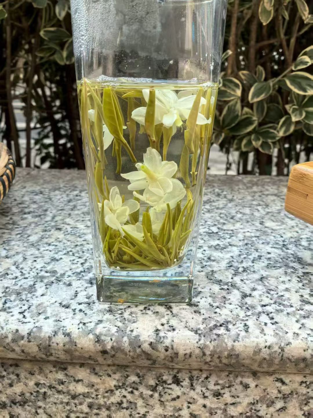 新茉莉花茶银针王飘雪七窨一炒清香淡雅全单芽嫩芽