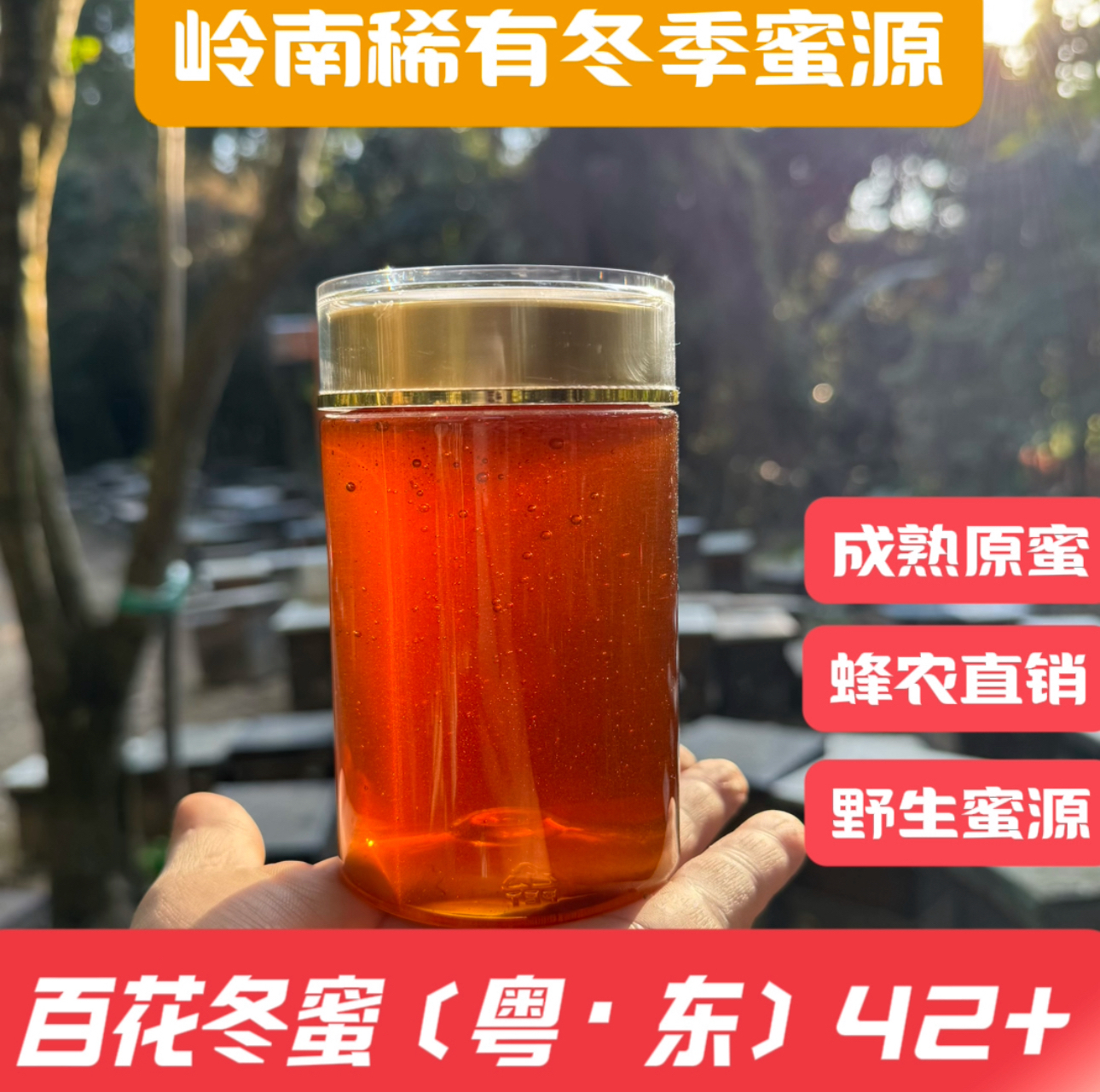 （假一赔十）孔孔家鸭脚木＋山花蜜 广东冬杂蜜 冬蜜百花 自然成熟