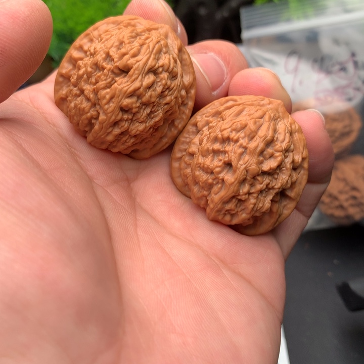 吊坠文玩核桃鱼*哈36蚂蚁沟