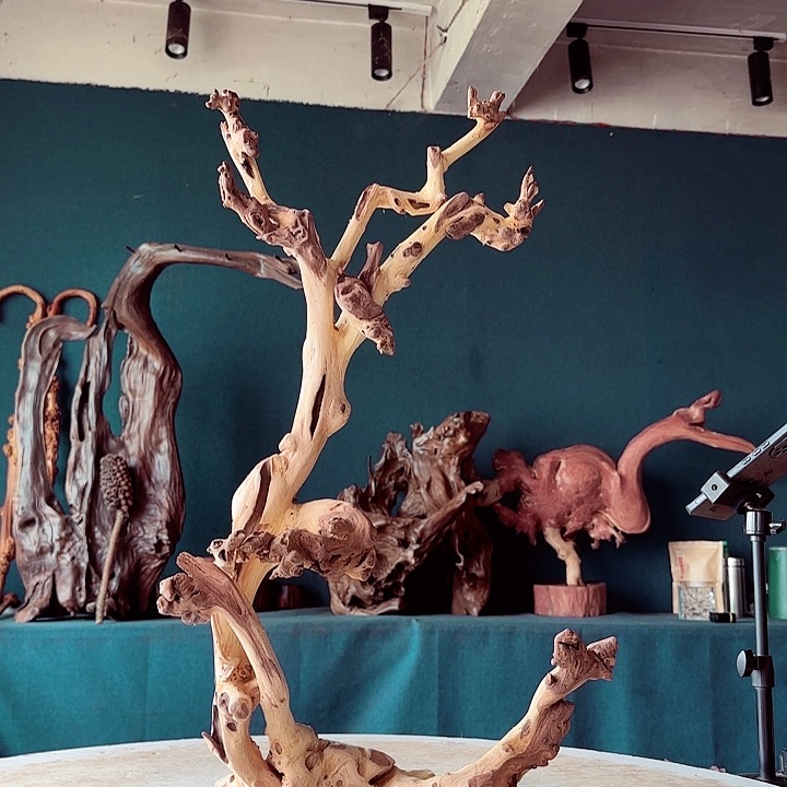 黑果木～**员801金丝红木羊蹄甲半成品