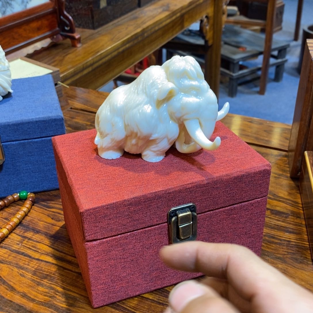 木logo还经常儿儿某咯偶