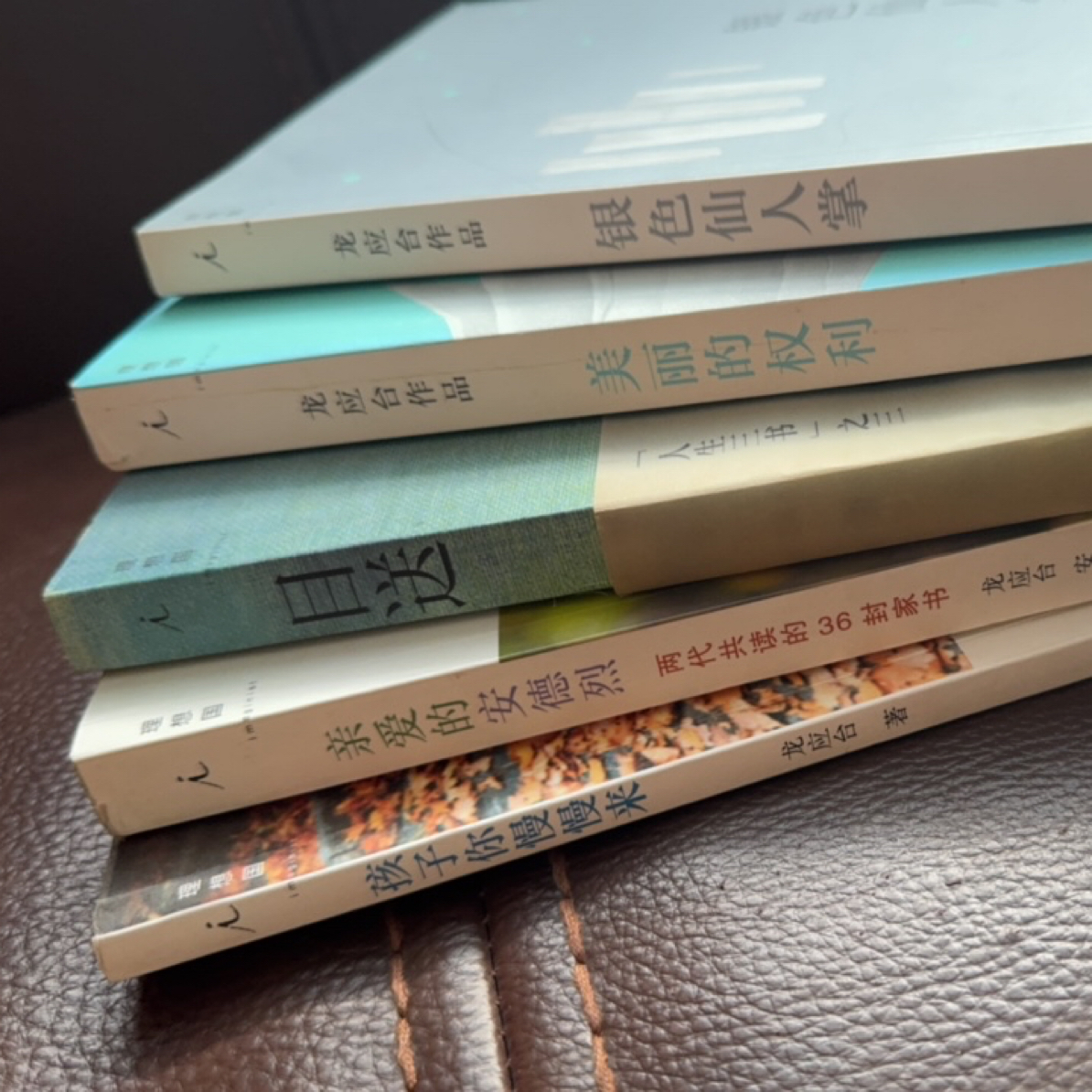 人生三书➕《银色仙人掌》➕《美丽的权利》平装 理想国（库存书9品新）