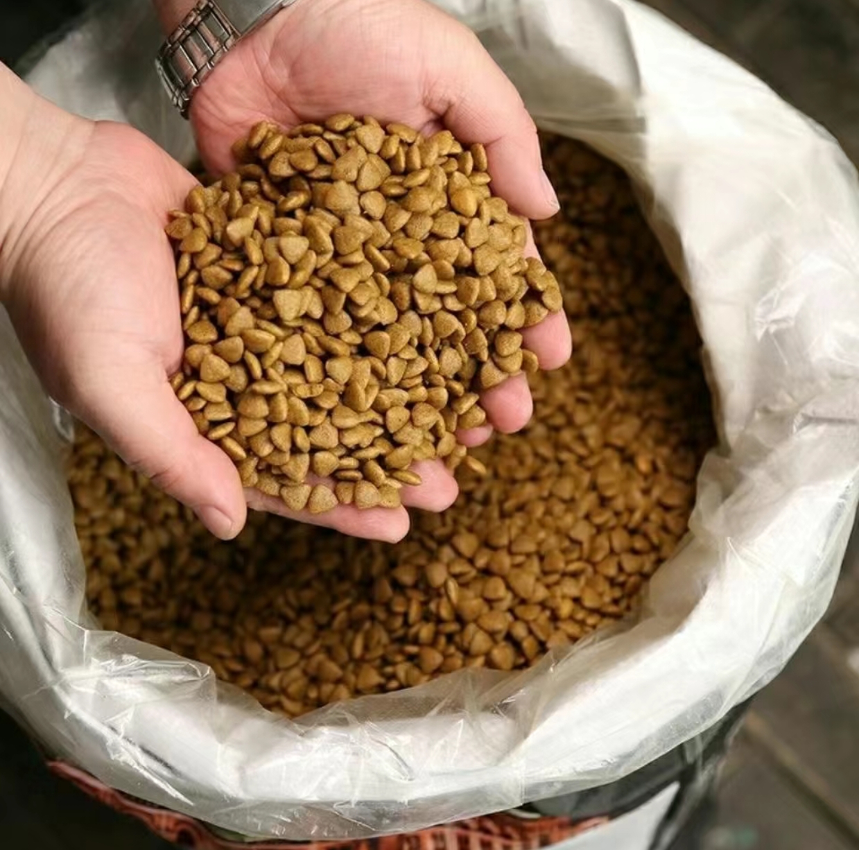 斤装狗粮猫粮全价期粮毛孩子通用