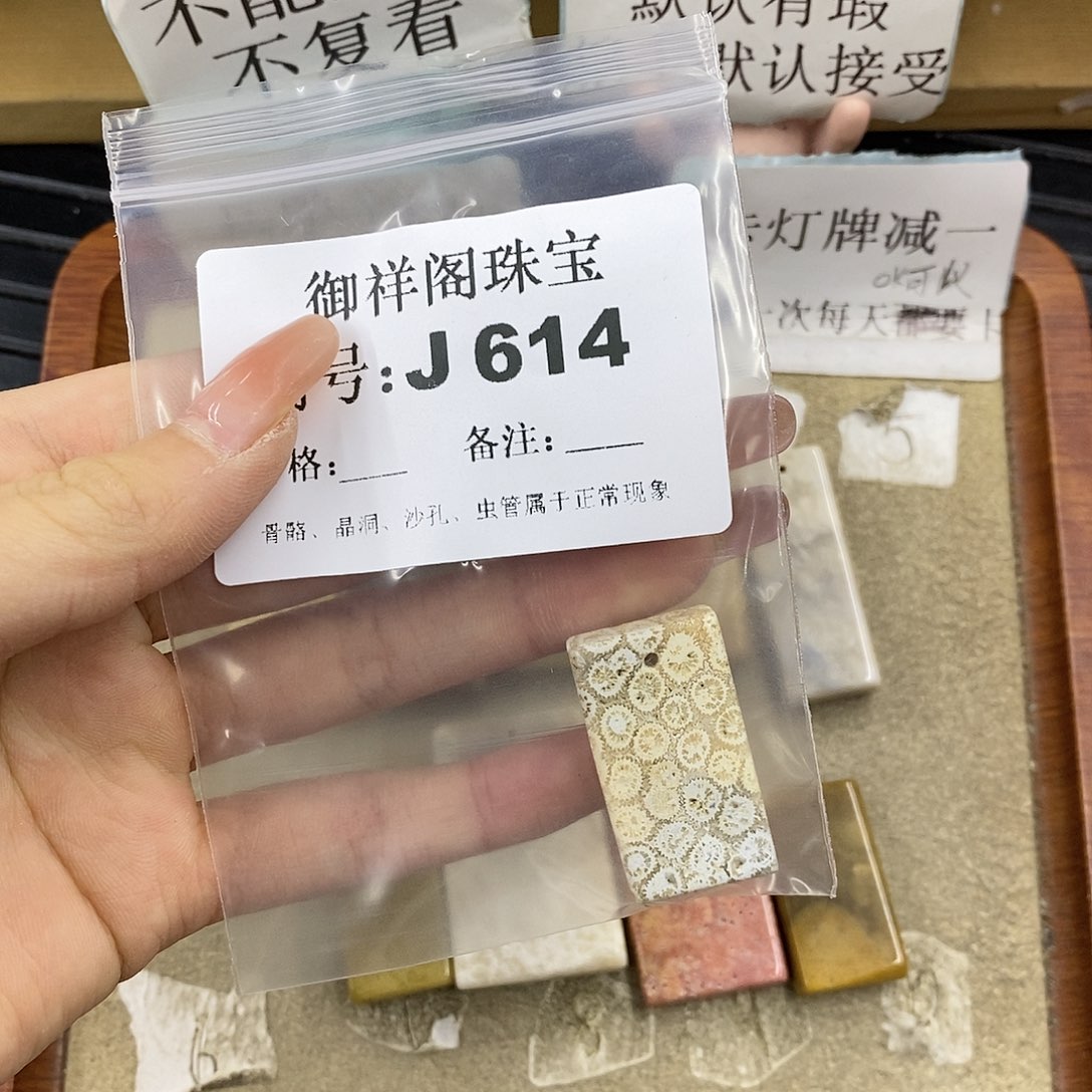 硅化珊瑚（珊瑚玉）未镶嵌颈饰建****埔