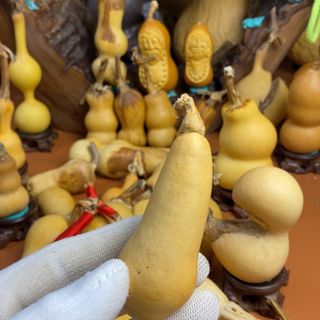 佛***人咯咯教练咯教练咯教练