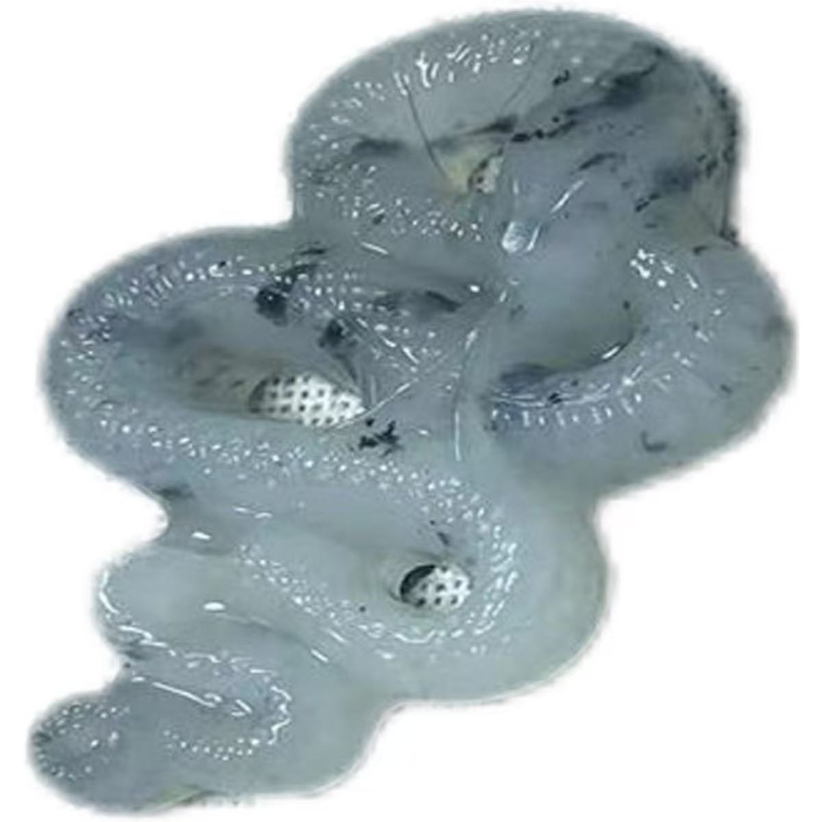 天然岫玉蛇纹石玉蛇挂件项链