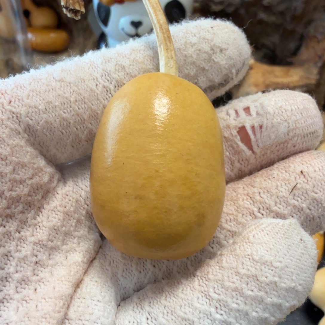 ****❀66666667666666666666