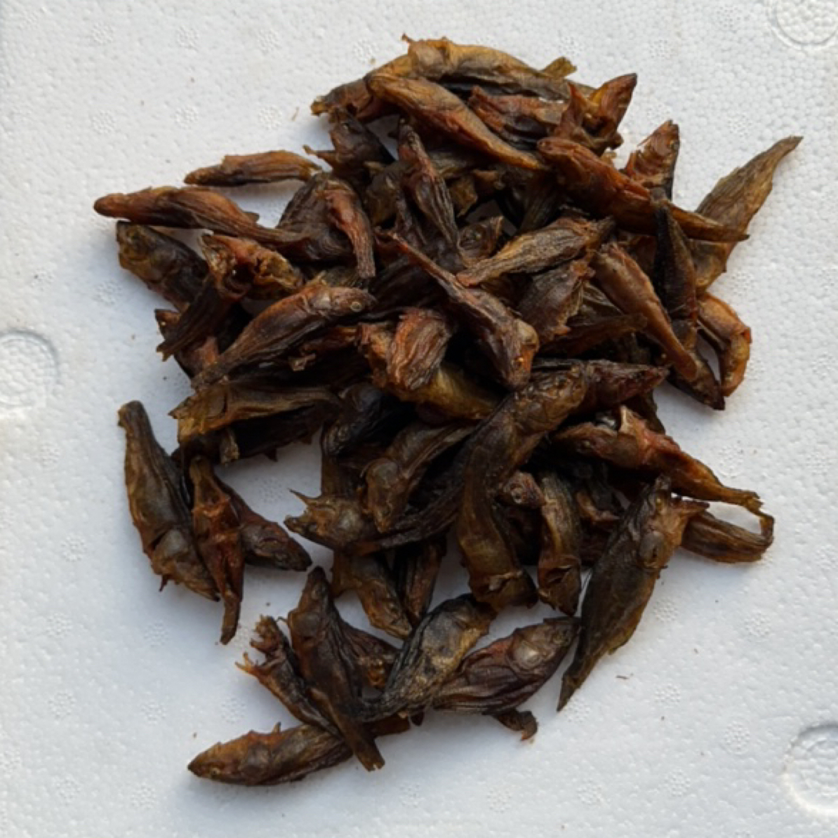 清水河里的黑鱼。