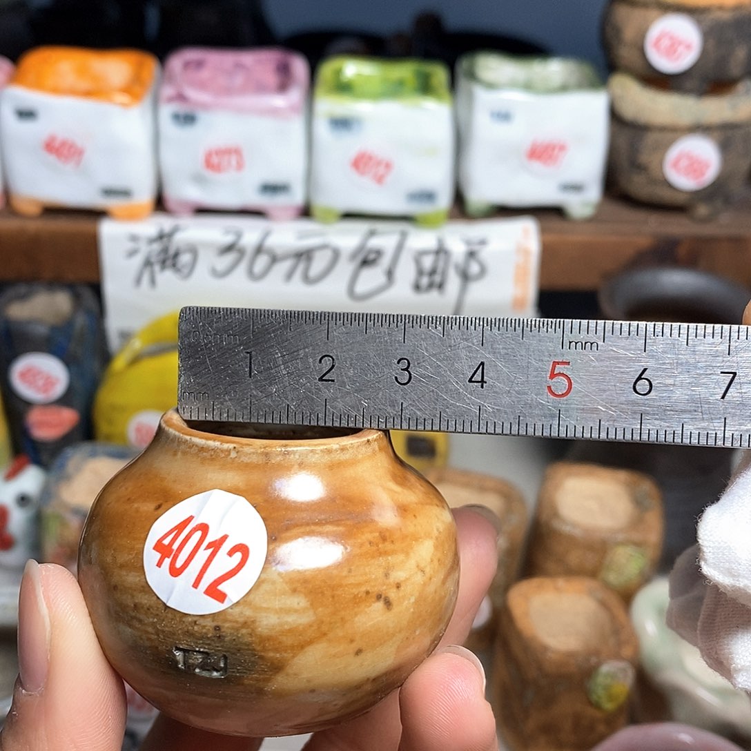 红陶拍5送一个小