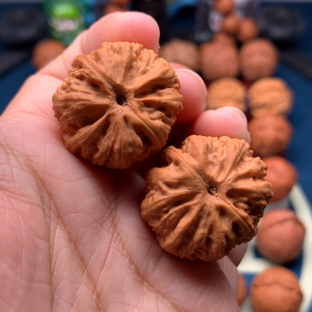 文玩核桃把件菊花石