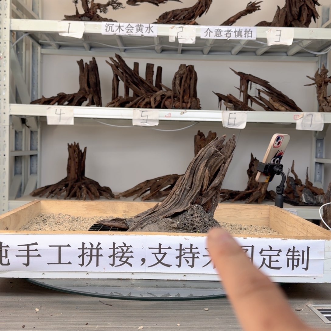 沉木造景沉木造景