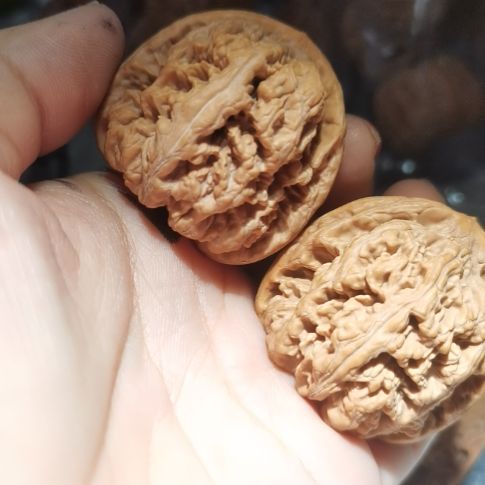 猴头核桃吊坠41粗筋