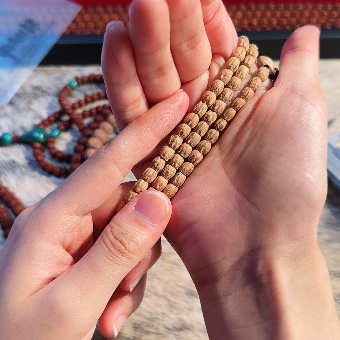 【闪购商品】吊坠金刚菩提            A34