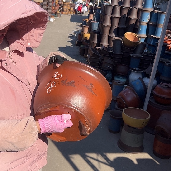 30紫气东来花盆花盆花盆