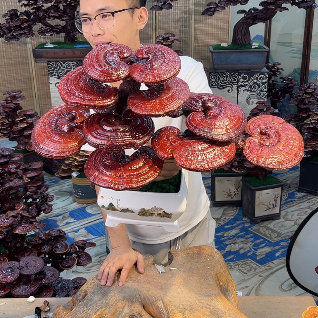 无花朵5888888880088088888888