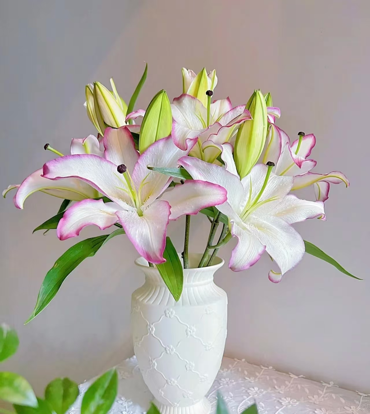 《右芊：稀有大花苞唇彩香水百合》清香优雅大气花头大云南基地直发 