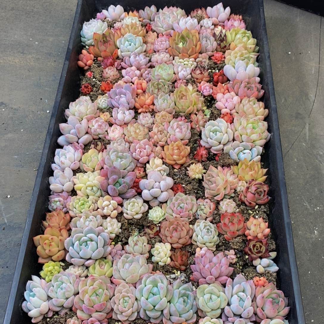 108大任务完成任务了。