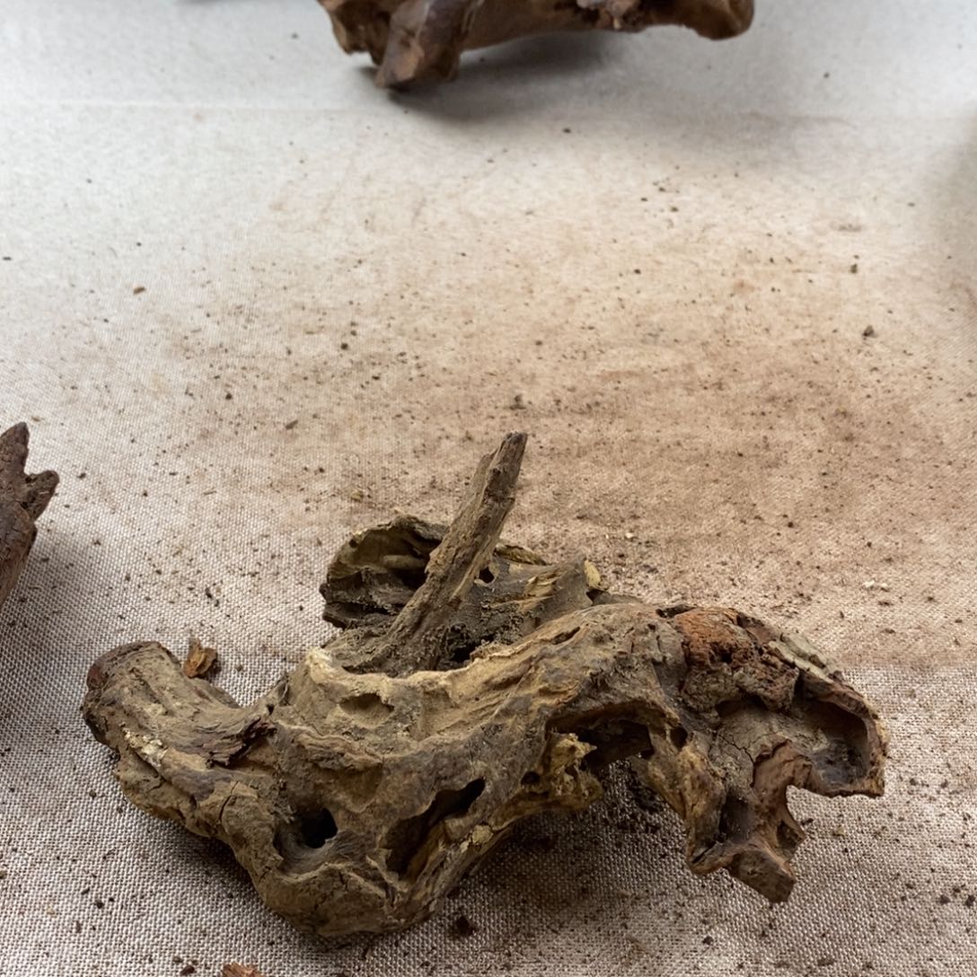 齐***柱黄花梨/降香黄檀黄花梨随形料子