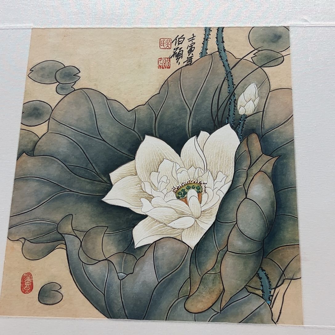 书法书法作品欣赏，书法