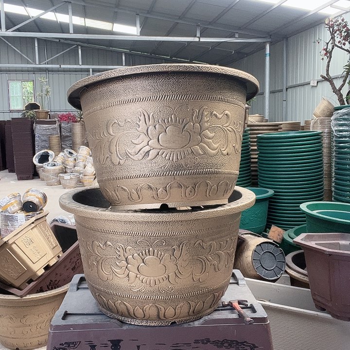 梅花照眼 依然旧风味