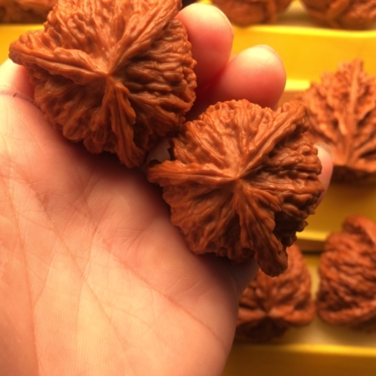 王***羽核桃核桃核桃核桃核桃