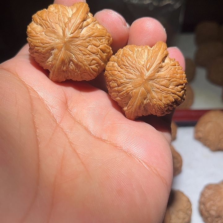 木39泥鳅背全品。     