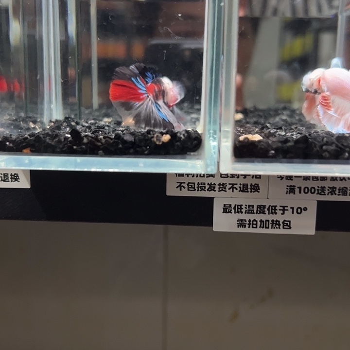 斗鱼跑单拉黑9日71+90