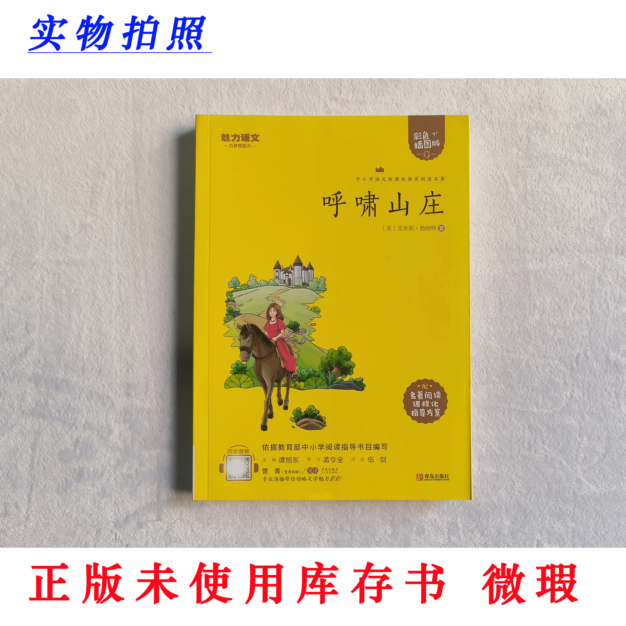【正版未使用 微瑕】呼啸山庄 彩图版 含手册及音频 新课标推荐阅读