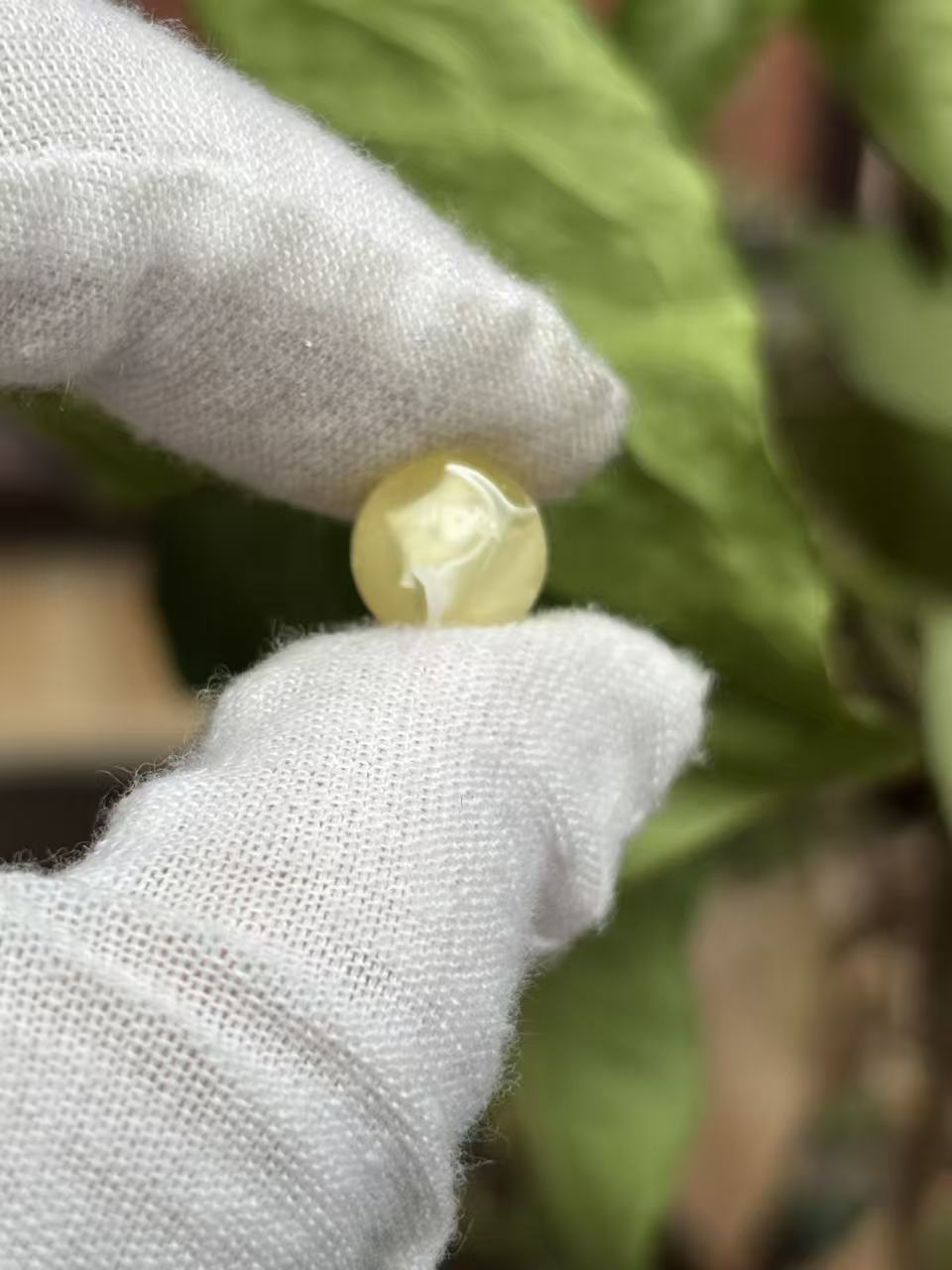  2661天然蜜蜡琥珀圆珠9.9mm