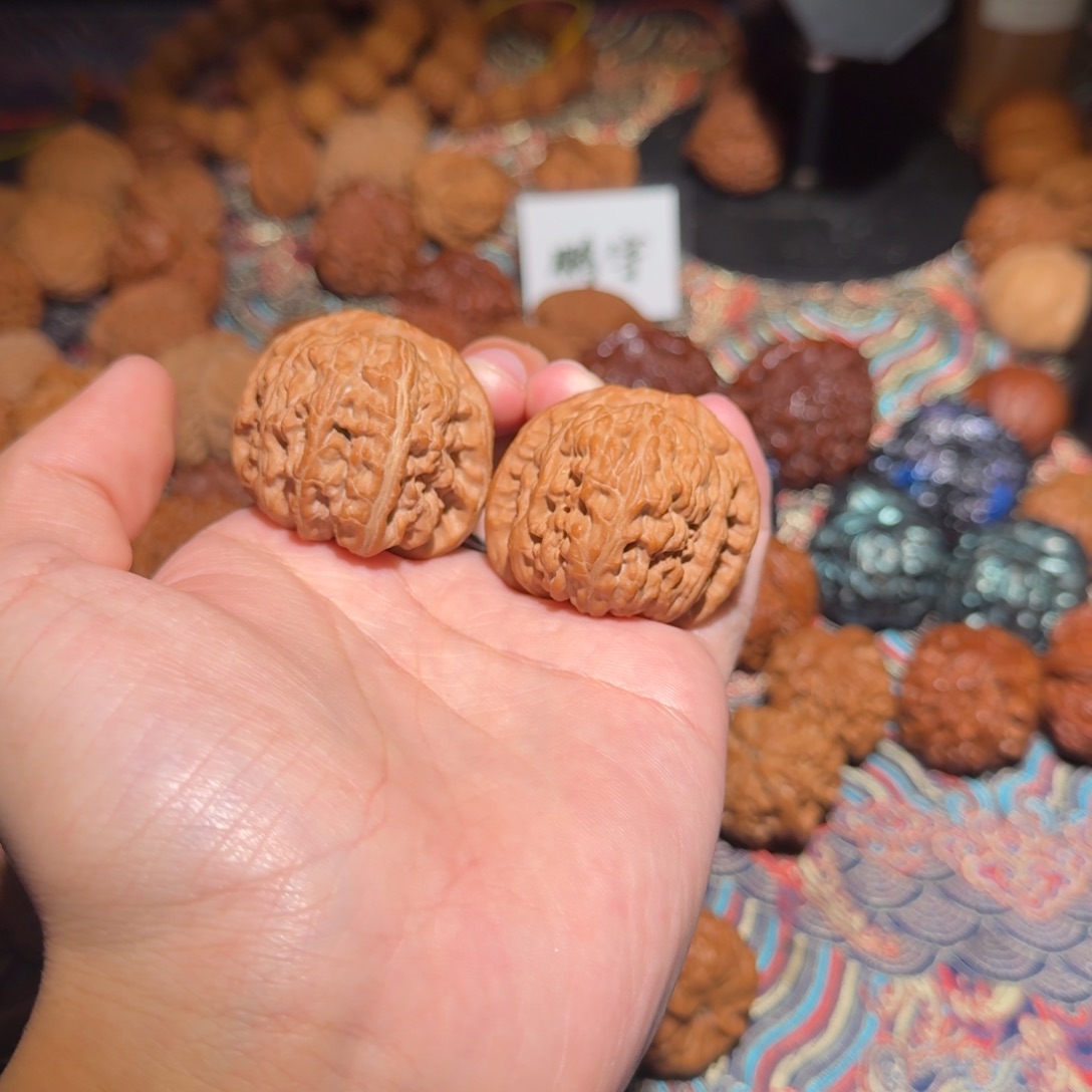 Z***o把件文玩核桃2136号42白狮子文玩核桃