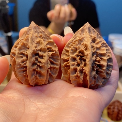 桃核把件八楞龙骨