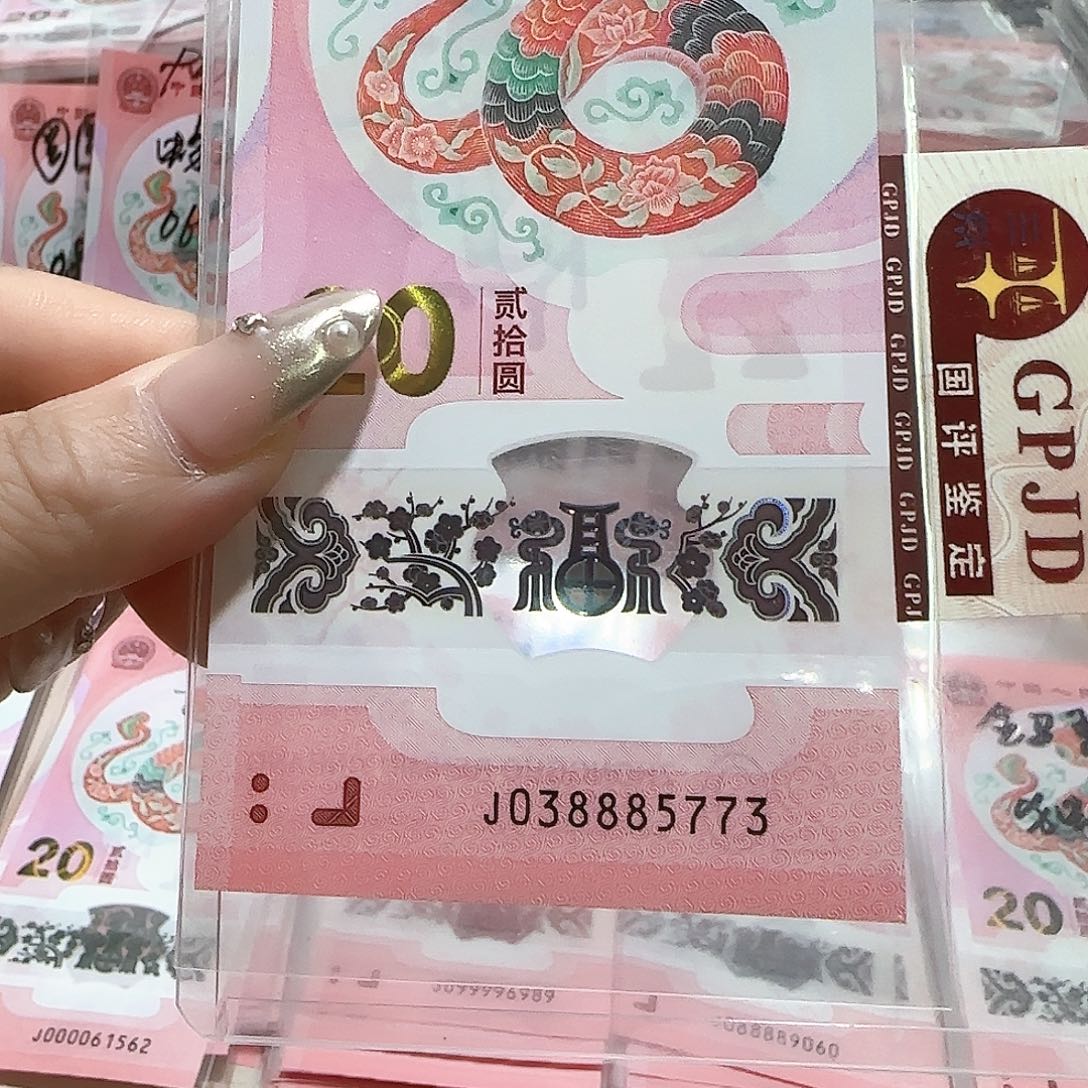 纸038885773。。。。。。。豹子身