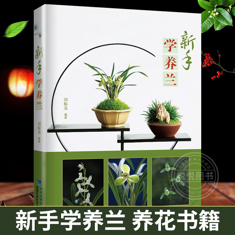 正版新手学养兰养花书籍兰花书籍大全养兰花的书兰花种植养殖技术