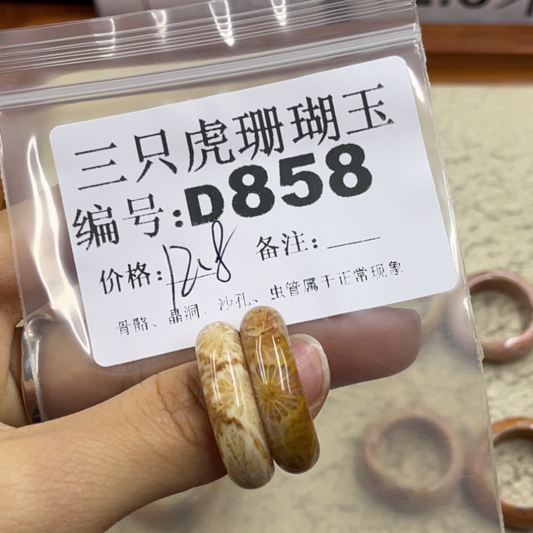 椰***韵硅化珊瑚（珊瑚玉）未镶嵌h