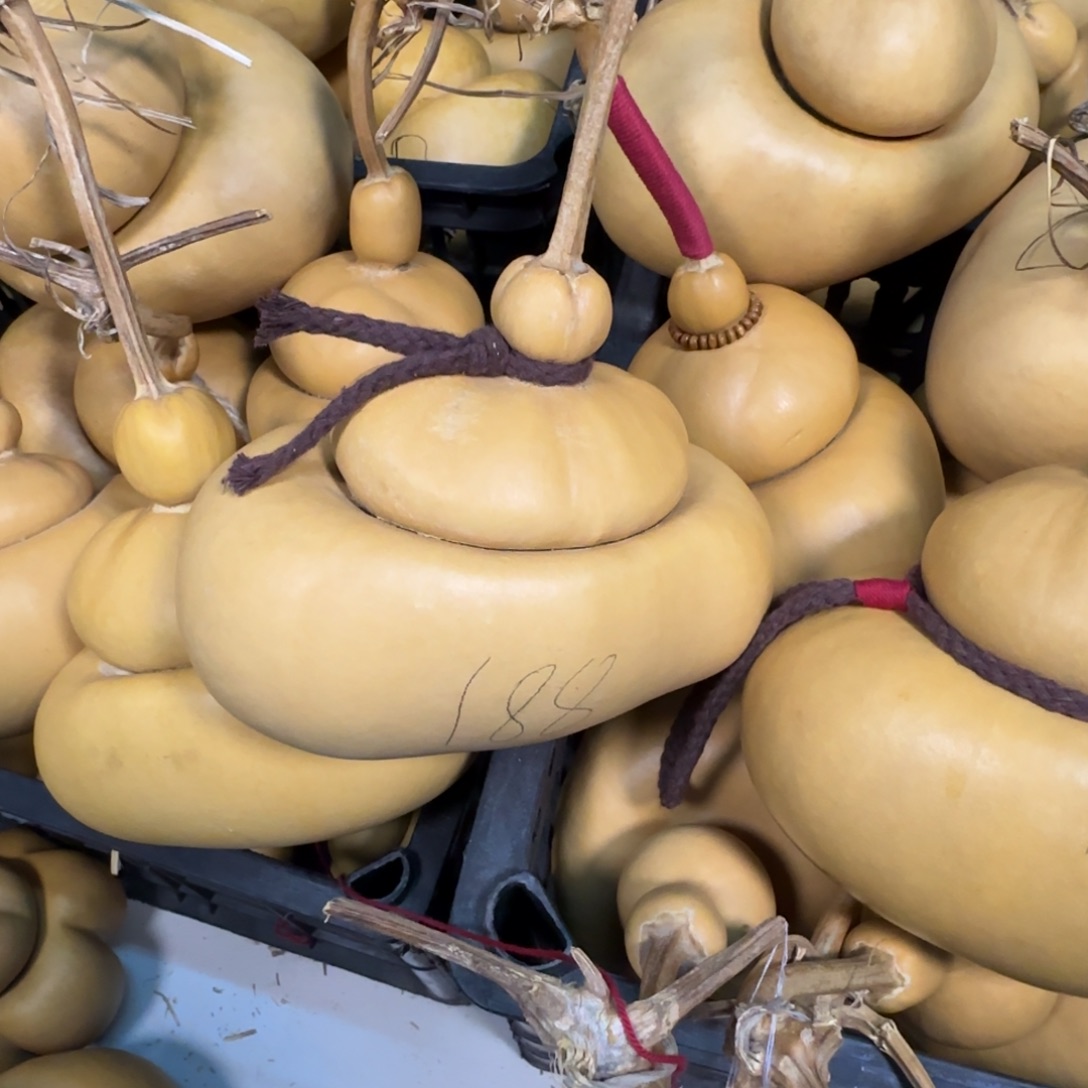 云***心直播间钱袋子一物一价