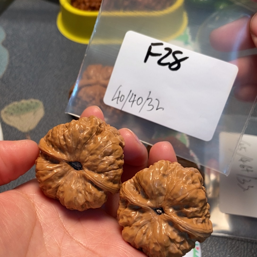 文玩核桃把件蛤蟆