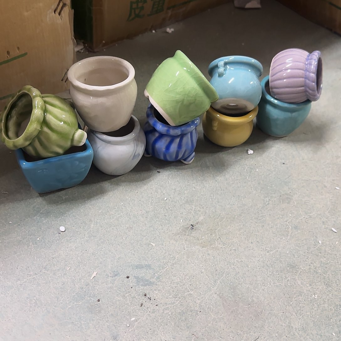 10个福利局绿植多肉盆［凑9元包邮24小时发］