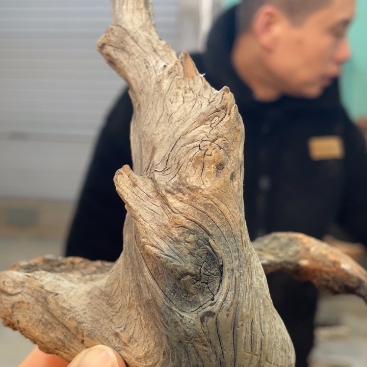 不***间我们都是好孩子呀