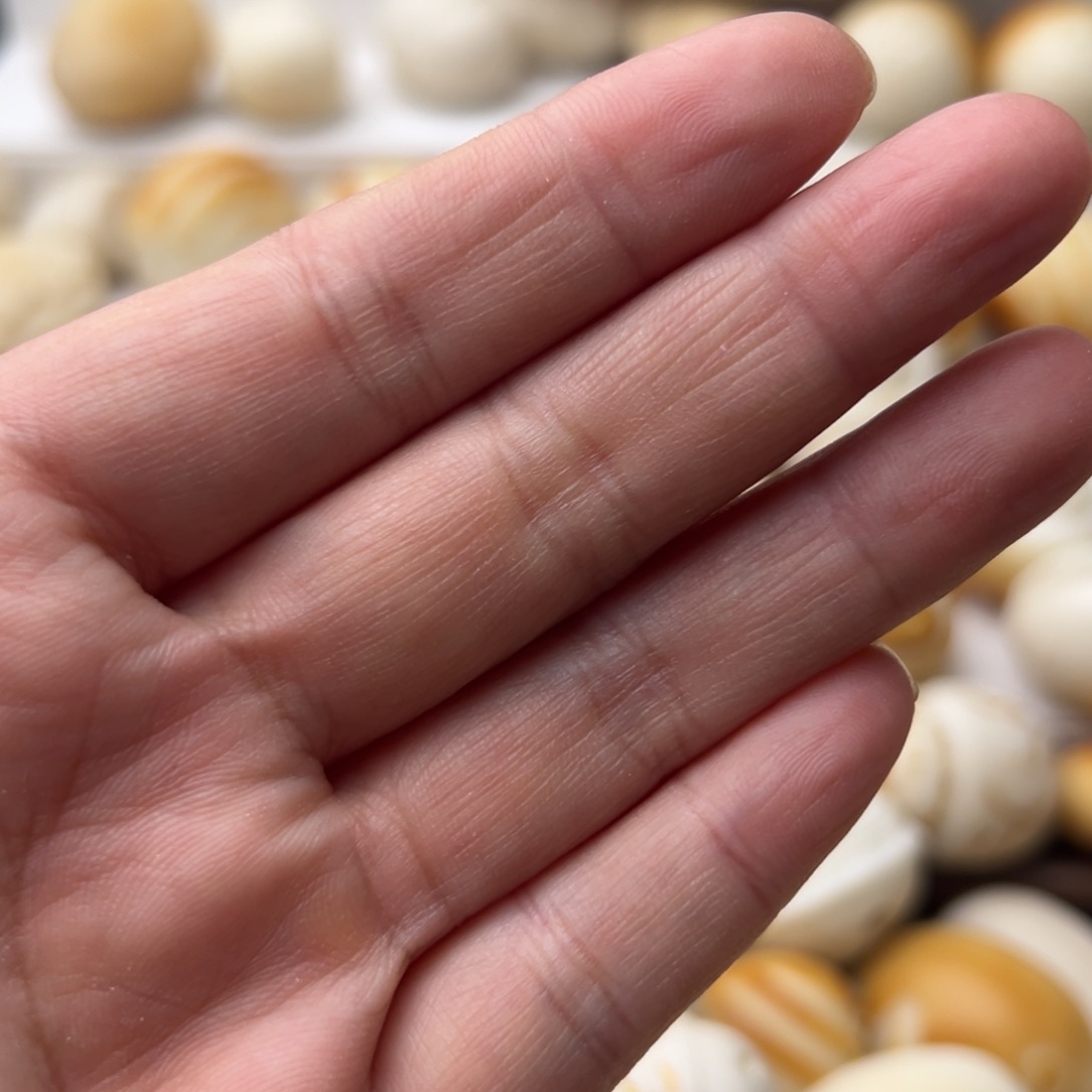 巷****菩提根/象牙果把件补链接