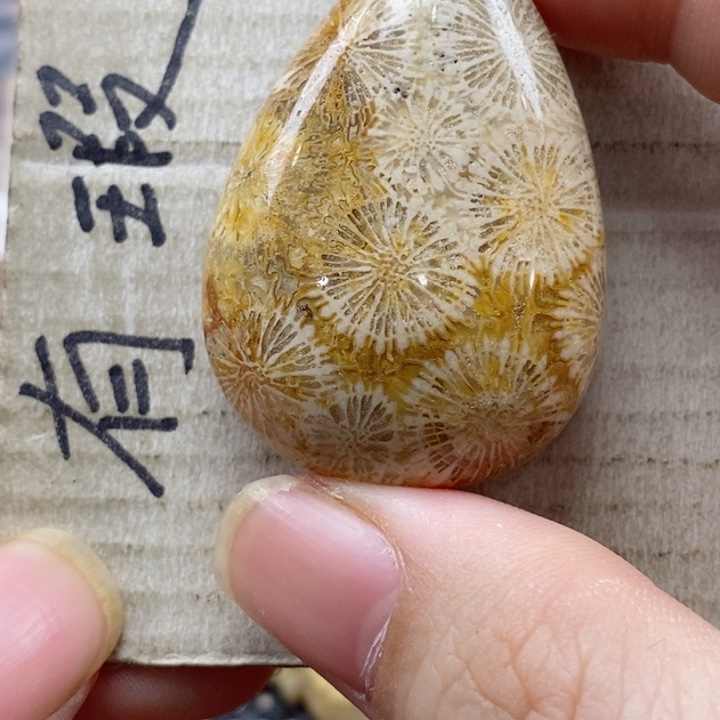 硅化珊瑚（珊瑚玉）颈饰未镶嵌