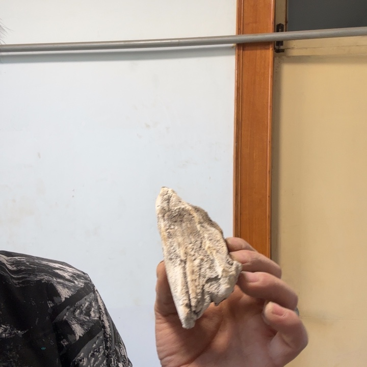 青***6木太行崖柏太行崖柏