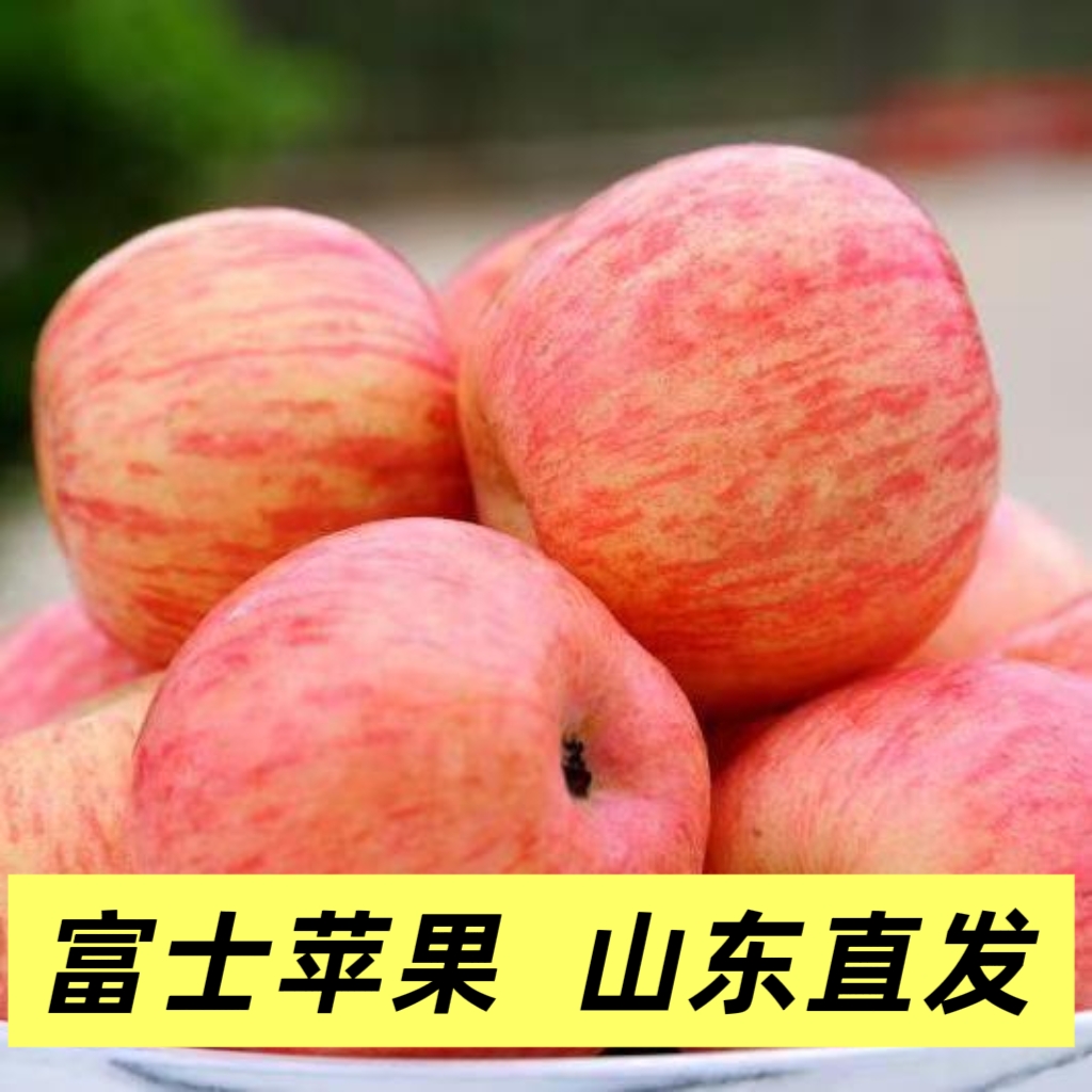富士苹果山东直发整箱批发